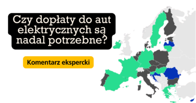 Dopłaty do aut elektrycznych grafika czy są nadal potrzebne