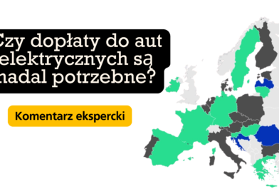 Dopłaty do aut elektrycznych grafika czy są nadal potrzebne